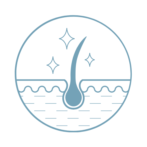 Icoon van haarfollikel met focus op onderliggende oorzaak van haarverlies