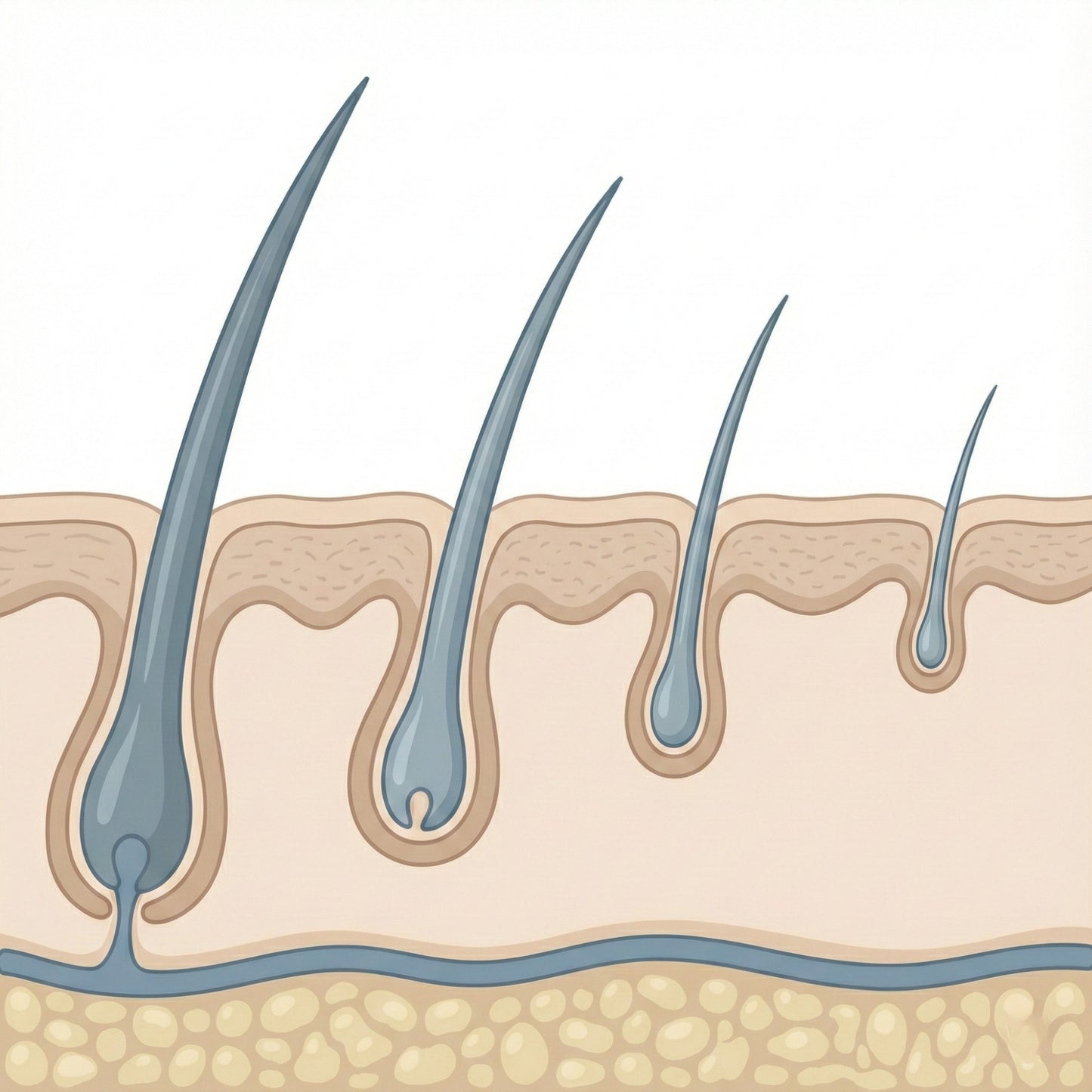Werkzame ingrediënten van TRIX Basic Alpha